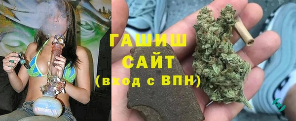 гашик Аркадак