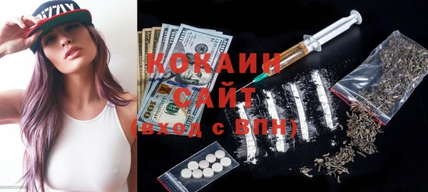 гашик Аркадак