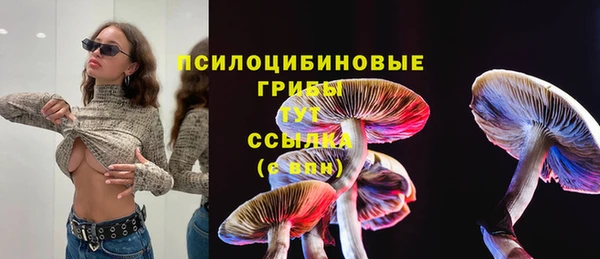 герыч Алзамай