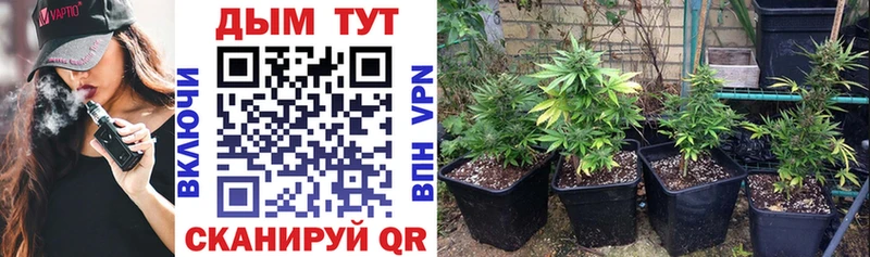 Каннабис конопля  blacksprut как зайти  Адыгейск  даркнет сайт 